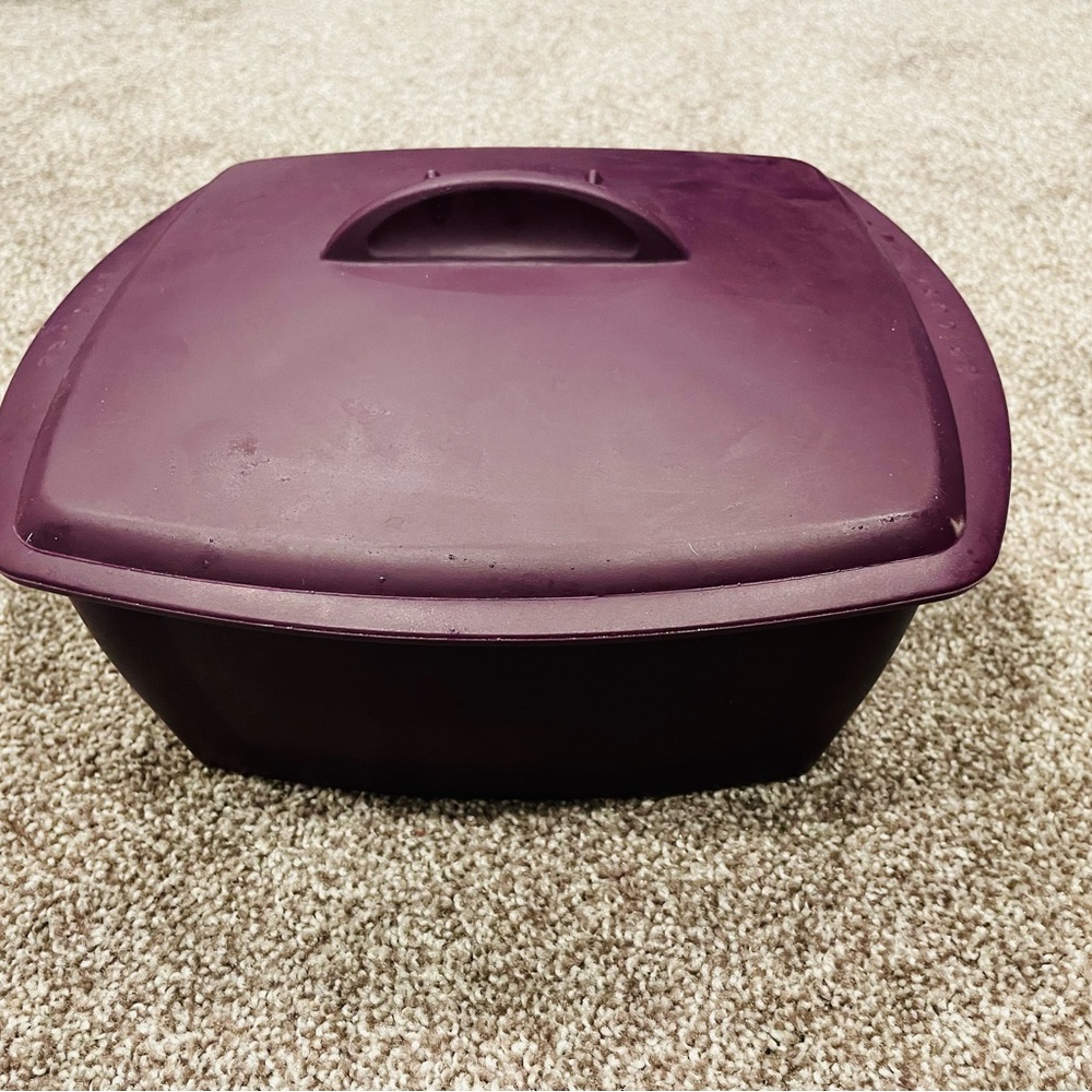 Elegant Purple Food Storage Container